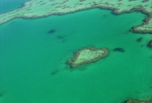 Heart Reef